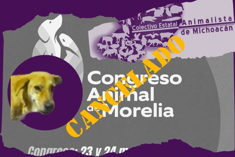CONGRESO CANINO CANCELADO