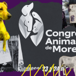 congreso animal