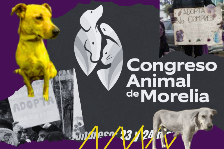 congreso animal