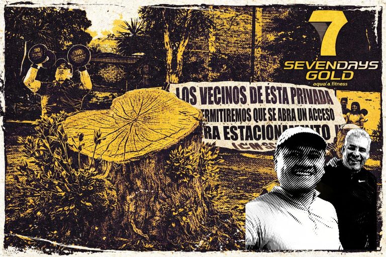 seven days rematar arbolitos